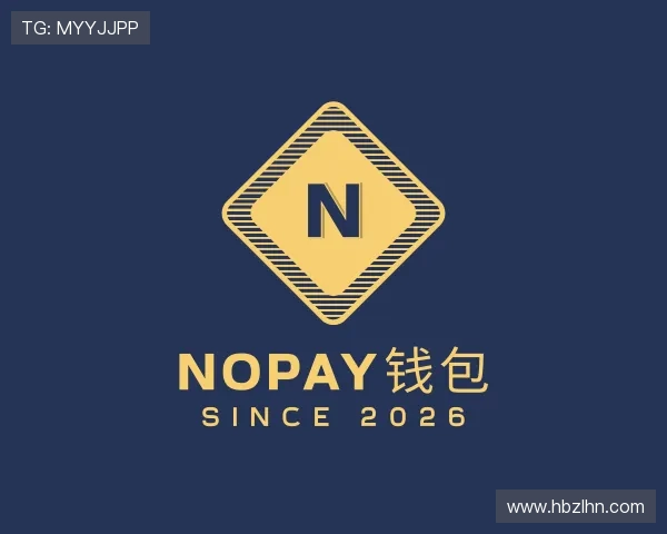 关于NOPAY钱包